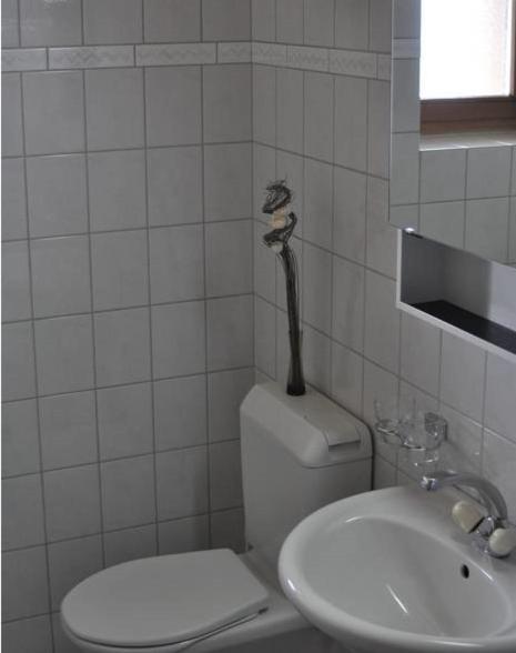 Appartement Fernsicht טריסנברג מראה חיצוני תמונה
